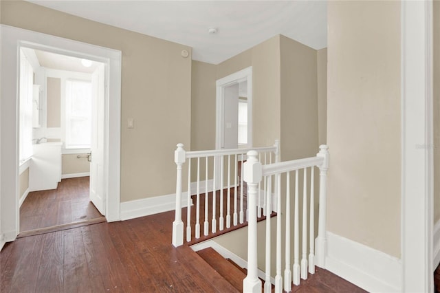 corridor with dark hardwood / wood-style flooring