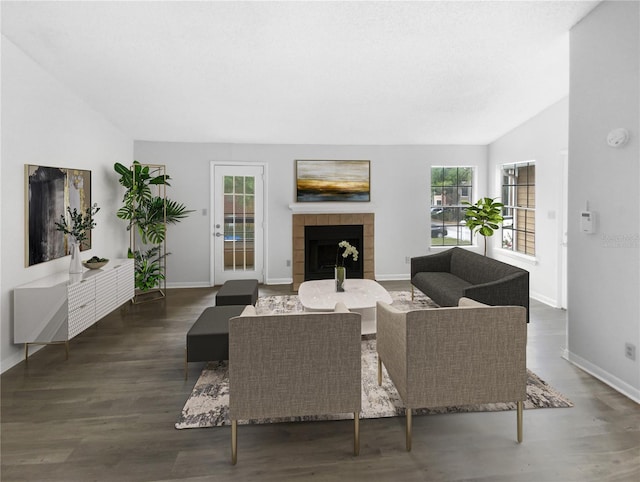 living room featuring a fireplace, vaulted ceiling, and dark wood-type flooring