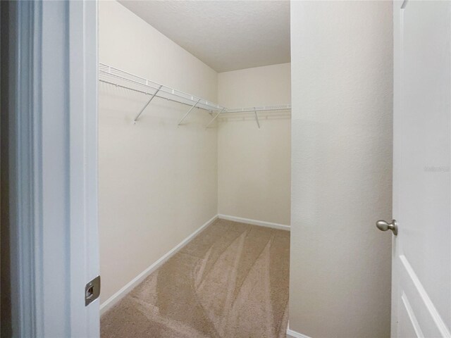 spacious closet with carpet