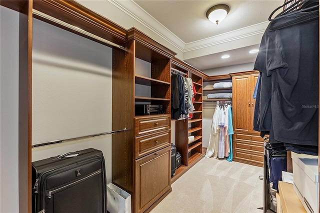 walk in closet with light colored carpet