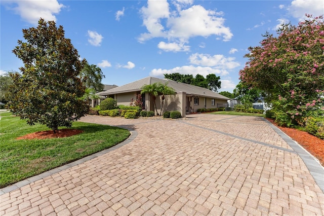 single story home featuring a front lawn