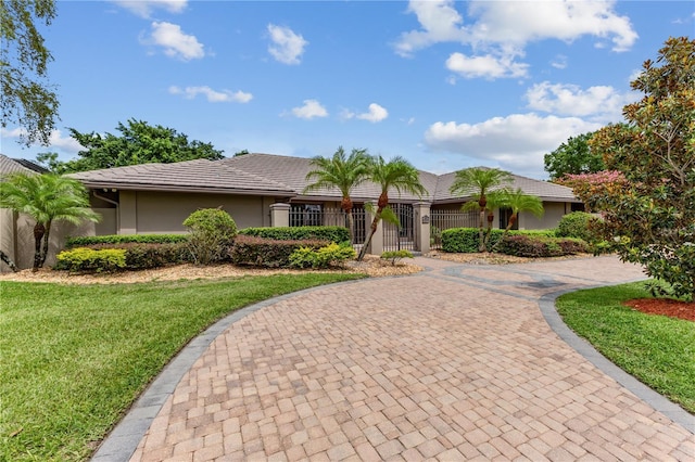 ranch-style house with a front yard