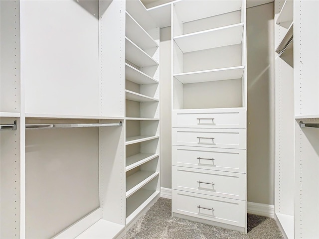 walk in closet featuring carpet