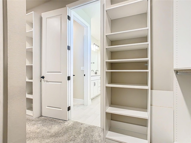 spacious closet with light carpet