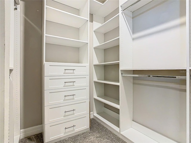 spacious closet featuring carpet flooring