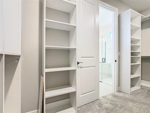 spacious closet featuring light colored carpet