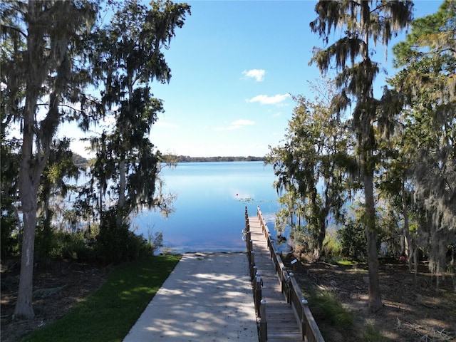 dock area with a water view