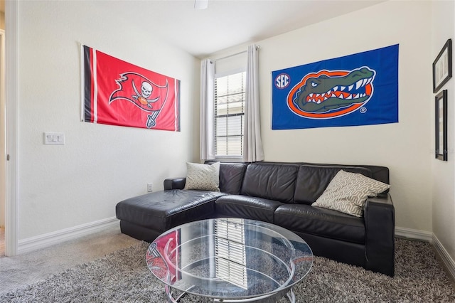 living room with carpet floors