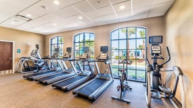 gym featuring a healthy amount of sunlight, carpet flooring, and a drop ceiling