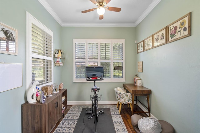 workout room with hardwood / wood-style flooring, ceiling fan, and ornamental molding