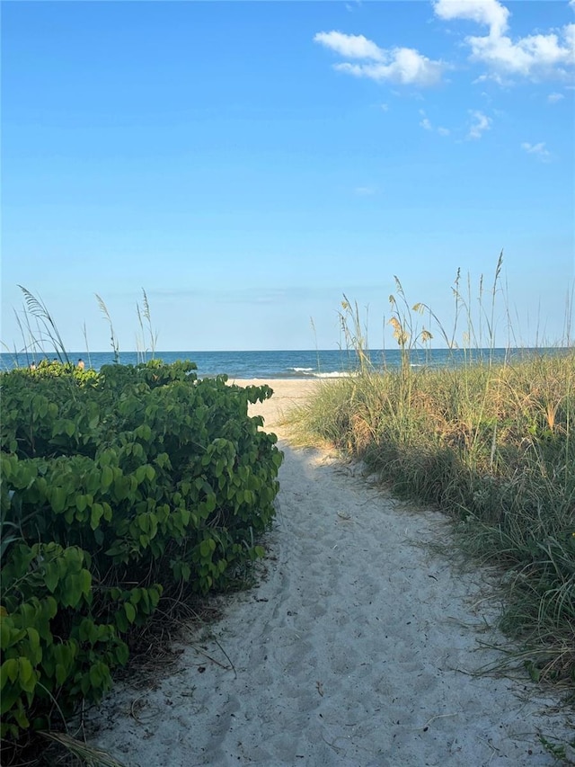 water view featuring a beach view