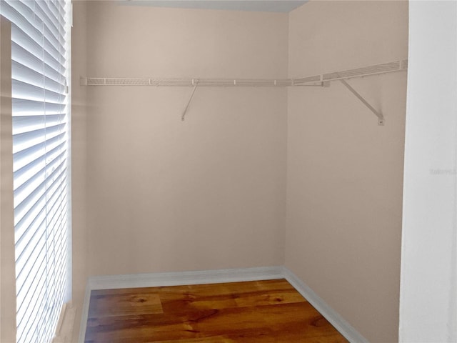 walk in closet featuring hardwood / wood-style floors