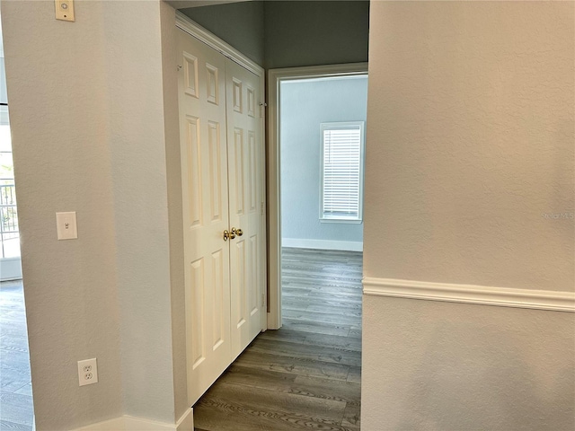 corridor featuring dark hardwood / wood-style floors