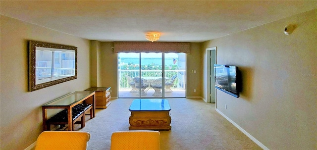 living room with carpet flooring