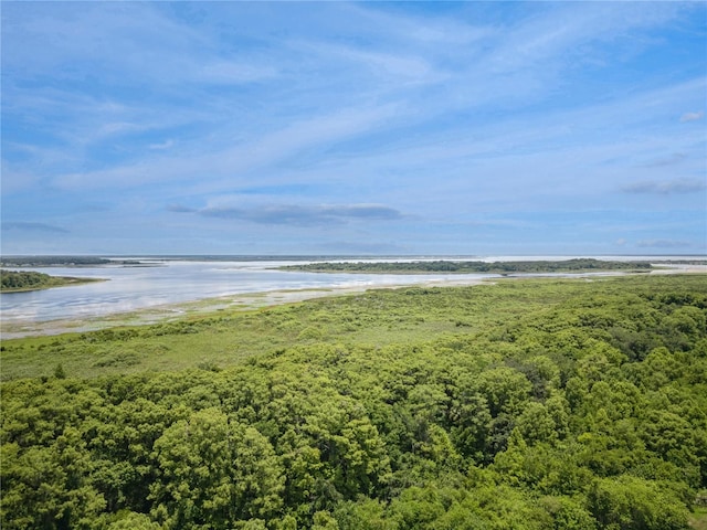 water view featuring a beach view