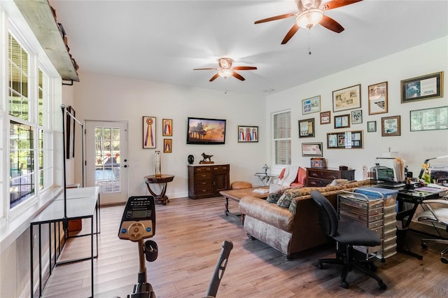 office featuring ceiling fan and light wood-type flooring