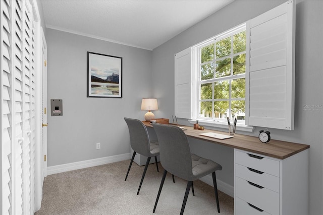 office space featuring light colored carpet and crown molding