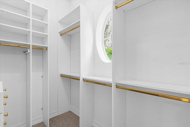 spacious closet with carpet flooring