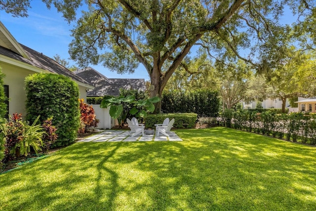 view of yard featuring a patio