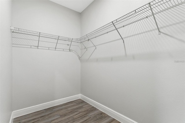 walk in closet with dark hardwood / wood-style flooring