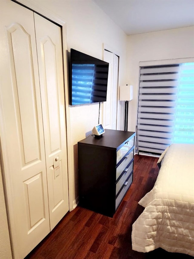 bedroom with a closet and dark wood-type flooring