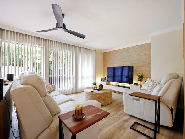 living area featuring ceiling fan, an accent wall, light wood-style floors, and ornamental molding