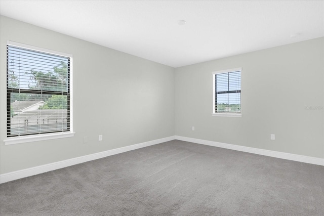 unfurnished room with carpet