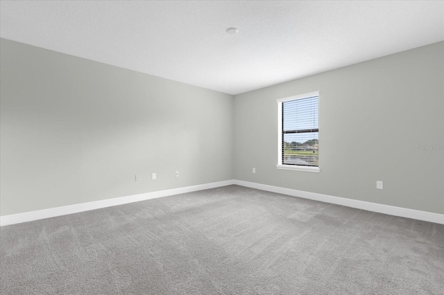 empty room featuring carpet floors