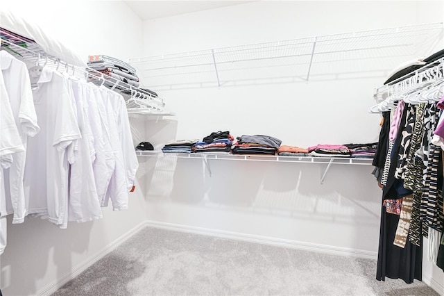 walk in closet featuring carpet floors