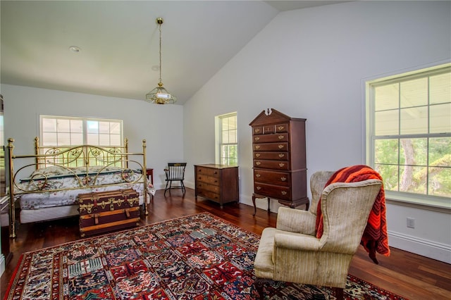 bedroom with dark hardwood / wood-style flooring and high vaulted ceiling