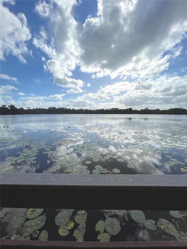 property view of water