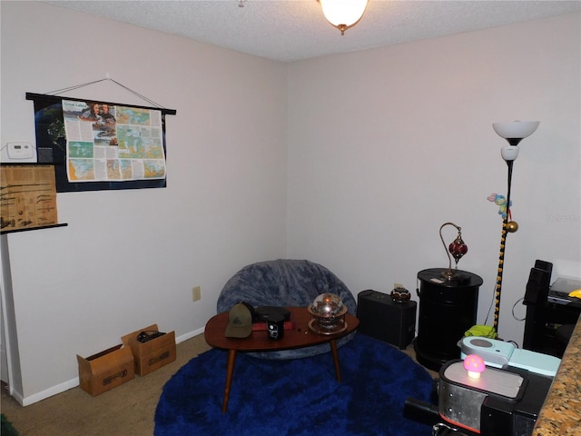 sitting room featuring carpet and a textured ceiling