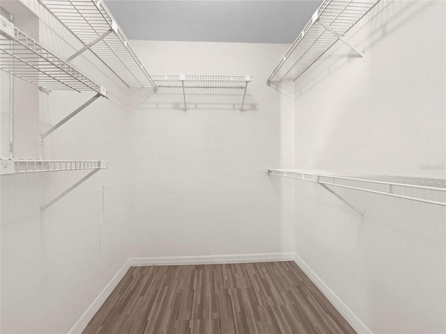 walk in closet with hardwood / wood-style floors