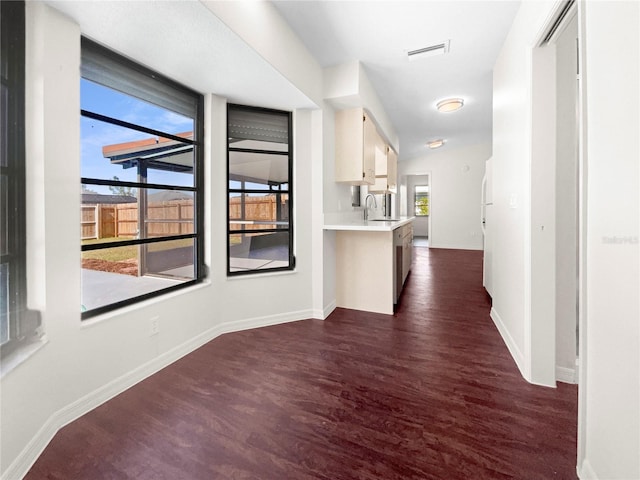 hall featuring sink, dark wood-type flooring, and a wealth of natural light