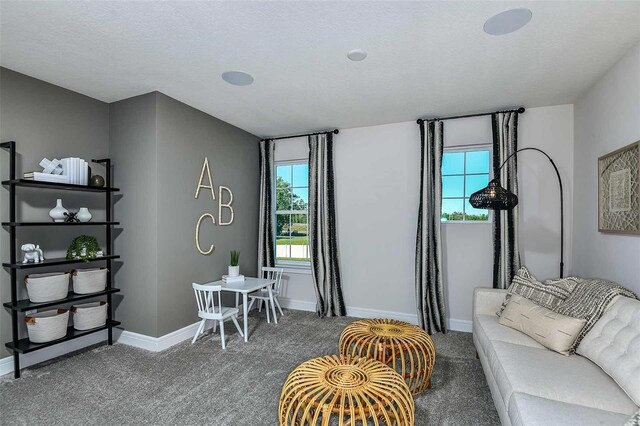 living room featuring a textured ceiling and carpet floors