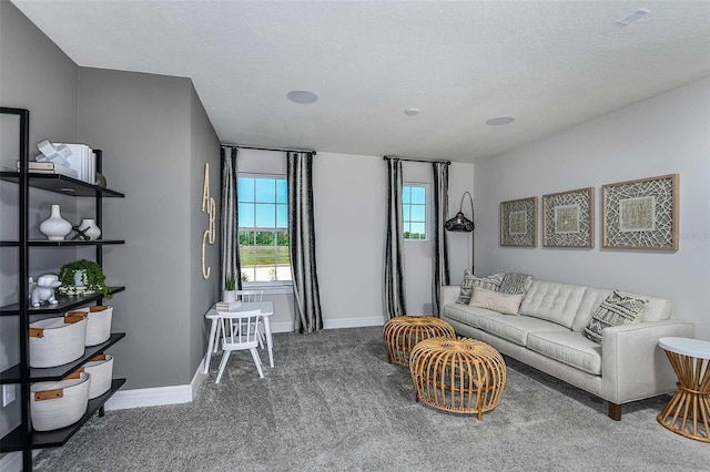 carpeted living room with a textured ceiling