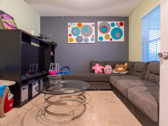 living room featuring a textured ceiling