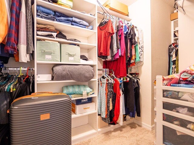 walk in closet featuring carpet