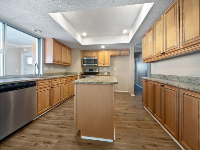 kitchen with sink, hardwood / wood-style floors, stainless steel appliances, a center island, and a raised ceiling