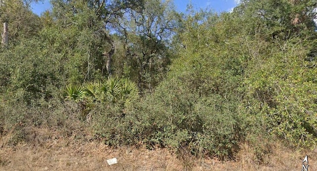 Se 214 Terrace, Umatilla FL, 32784 land for sale