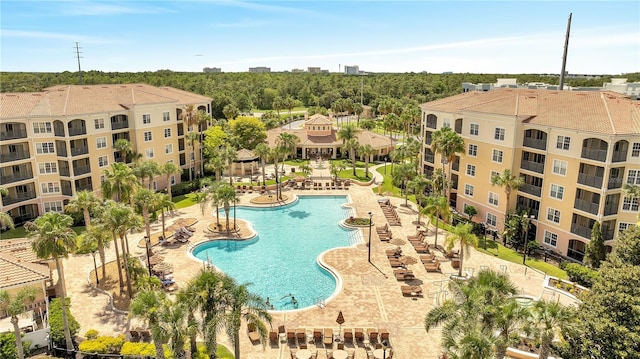 view of pool with a patio area