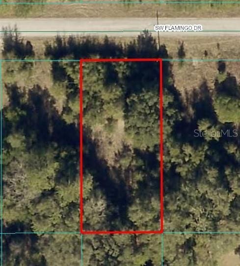 SW Flamingo Dr, Dunnellon FL, 34431 land for sale