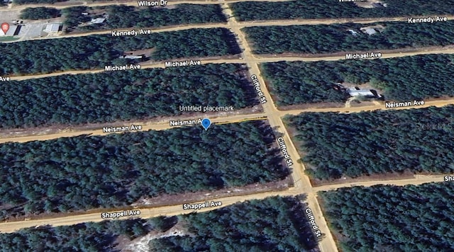 TBD Neisman Ave, Interlachen FL, 32148 land for sale