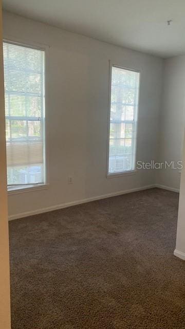 carpeted empty room featuring a wealth of natural light