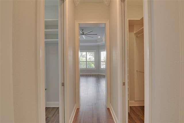 hallway featuring crown molding and hardwood / wood-style flooring