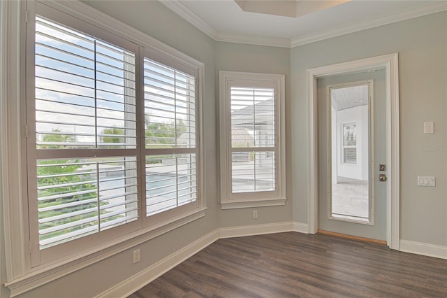 interior space with dark hardwood / wood-style flooring and ornamental molding