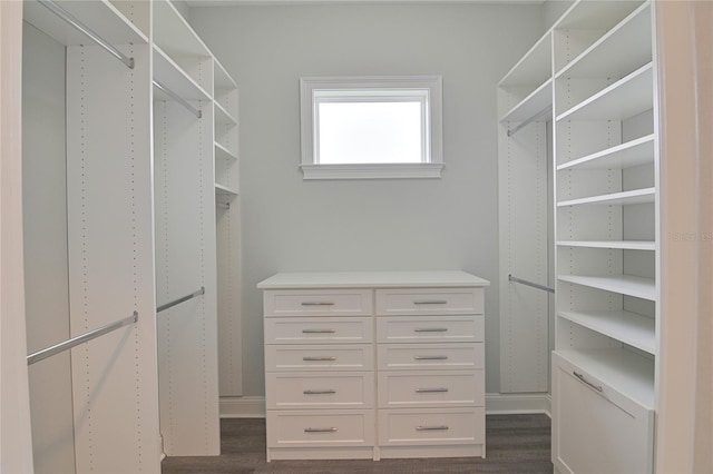 walk in closet with dark wood-type flooring