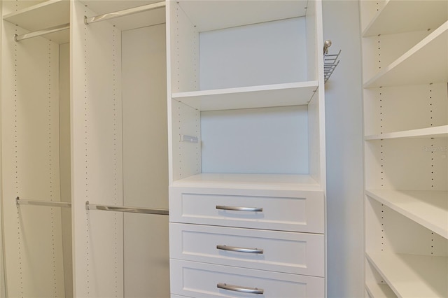 view of spacious closet