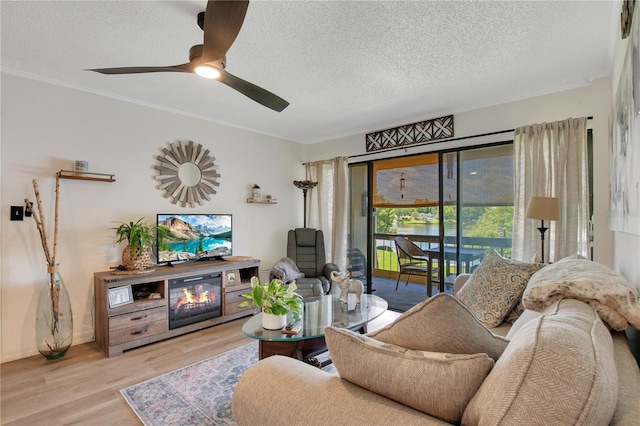 living room featuring crown molding, ceiling fan, a textured ceiling, and light hardwood / wood-style floors