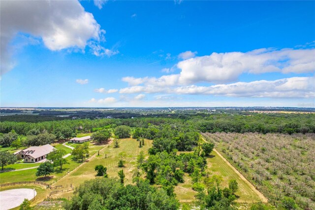 10133 Colt Ln, Winter Garden, FL 34787 - photo 15